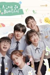 Nonton Film A Love So Beautiful (2020) Terbaru